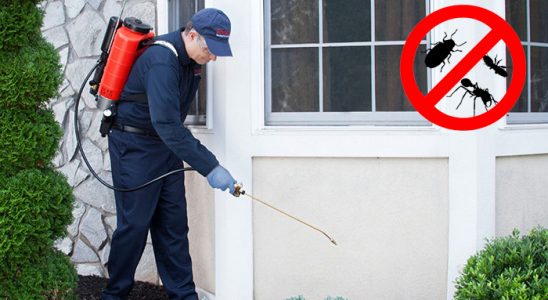 Sütçüler Bit İlaçlama böcek ilaçlama ve haşere kontrolü — ilaclama-tr.com